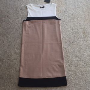 Zolla on the shoulder dress